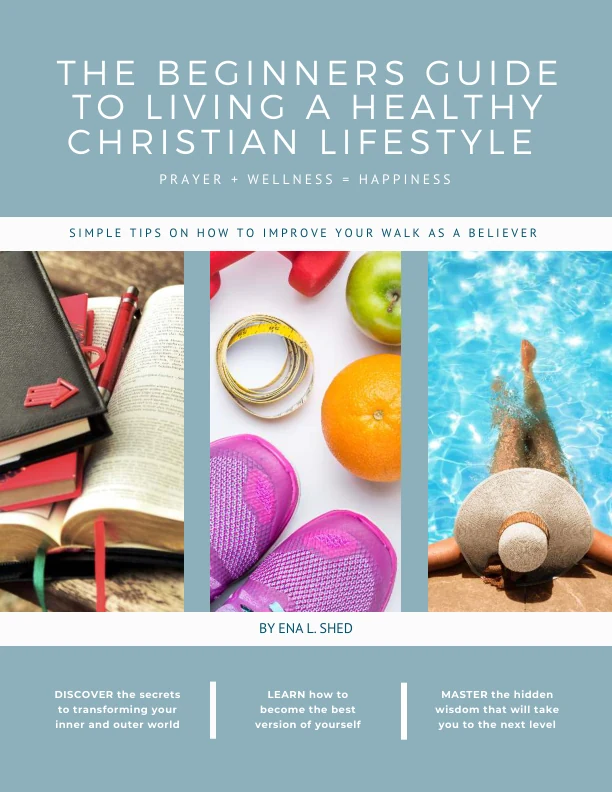 Cover of The Beginners Guide to Living a Healthy Christian Lifestyle